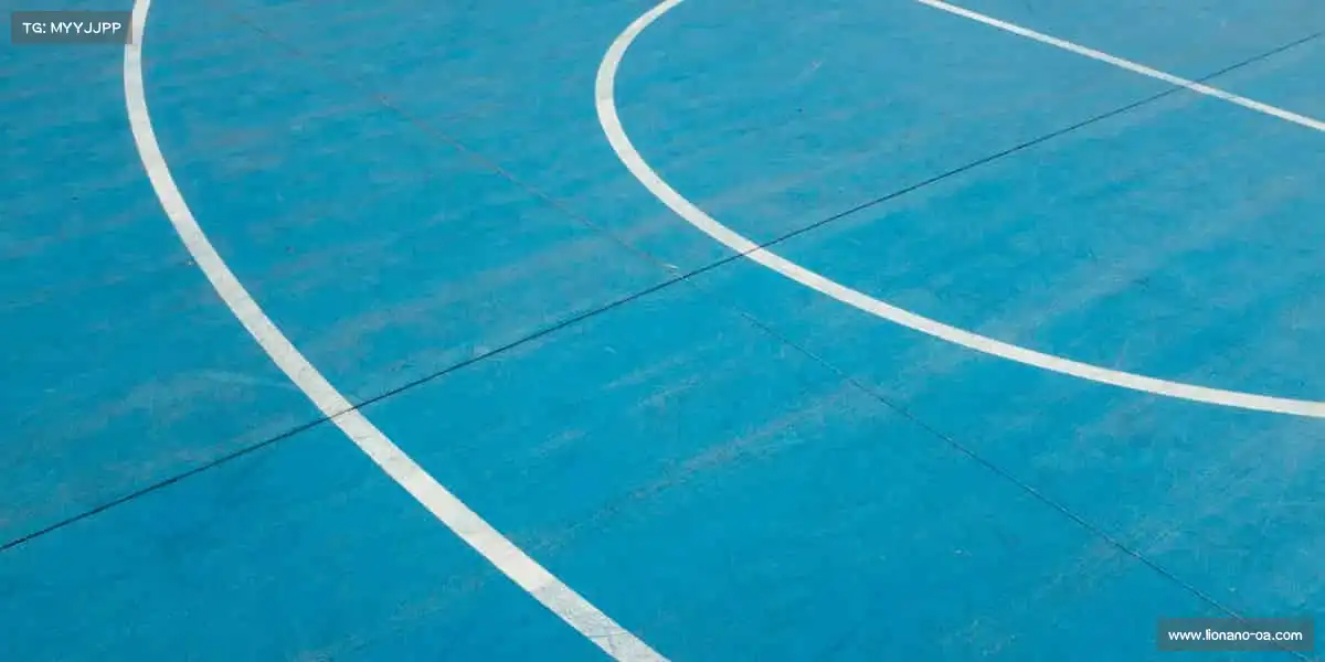 16大学生真人免费观看电视剧入口承载影像梦想,打造属于你的光影传奇🌟